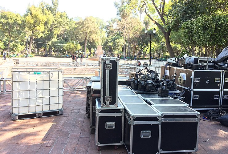 Backline | Plantas de Luz