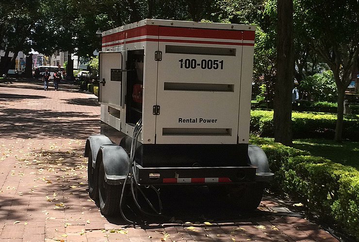 Backline | Plantas de Luz