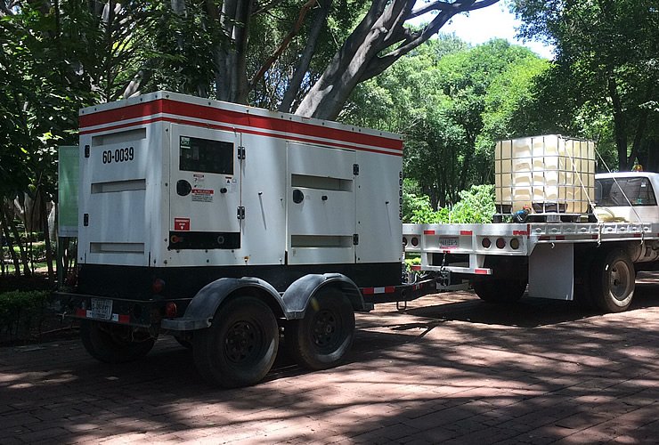 Backline | Plantas de Luz